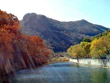 澳门二四六天天彩图库，机场行李车